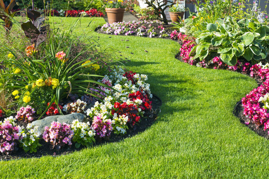 Garten-Tipps: Wie du deinen grünen Daumen perfektionierst!