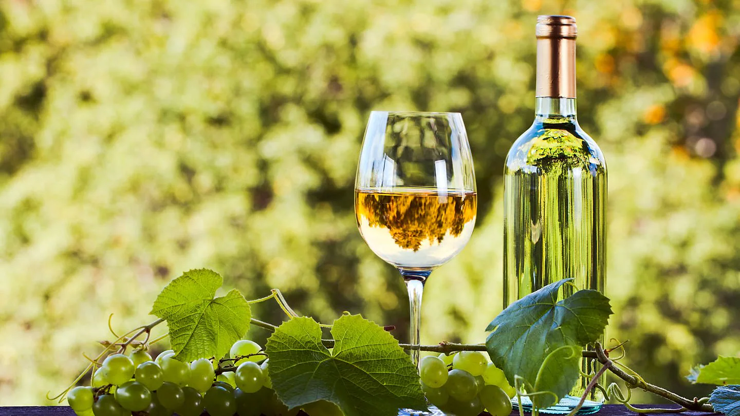 Die Kunst des Weinhandels: Entdecken Sie Qualität und Vielfalt