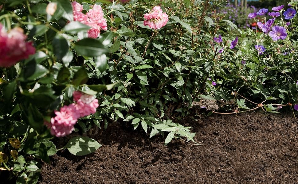 So kaufen Sie Gartenfaser kaufen für einen gesunden und lebendigen Garten