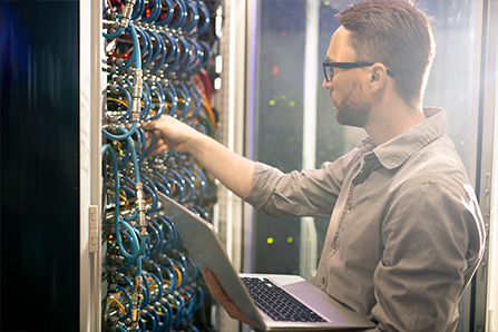 Sofortige IP transit pricing-Bestellung mit umfassenden Zusammenfassungen
