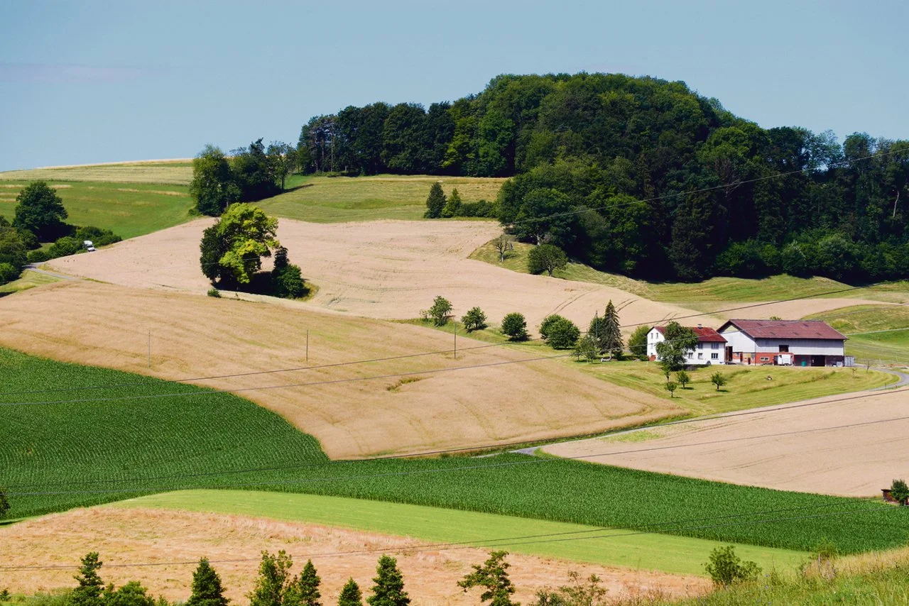 Pachtvertrag landwirtschaft vorlage: Ihre Checkliste für die Verpachtung