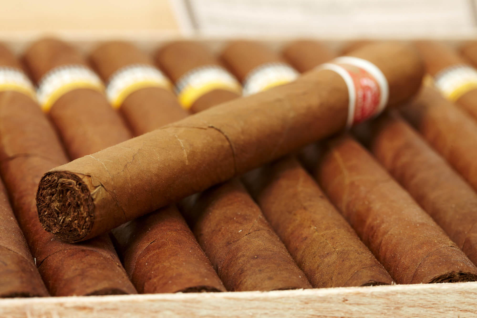 Entdecken Sie die Welt des feinen Rauchens mit C-Cigars